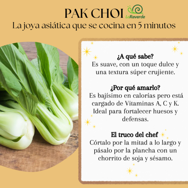 Pak Choi ecológico de la Reverde