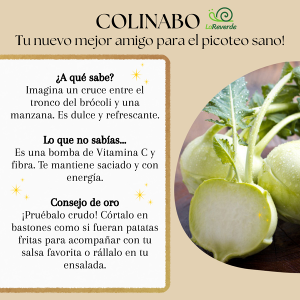 Colinabo ecológico de La Reverde, una raíz robusta de piel dura e interior dulce recién cosechada